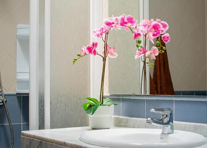 Pancho * プラヤ・ブランカ